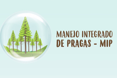 MIP