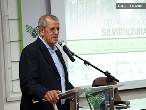 Walter Rezende é indicado pela CNA para presidir a Câmara Setorial de Florestas Plantadas do Mapa