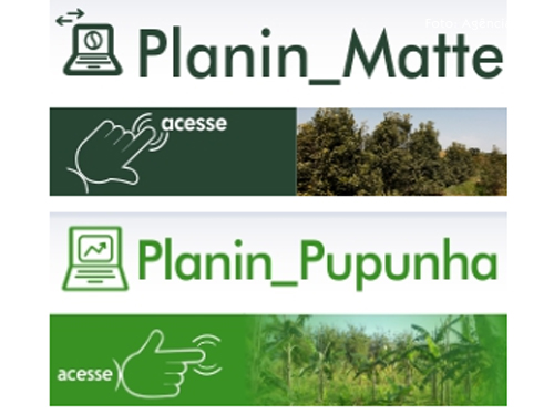 Softwares simulam manejo de precisão para plantios florestais