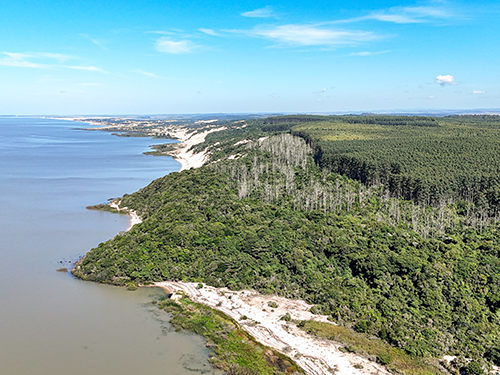 CMPC avança rumo a um futuro mais sustentável