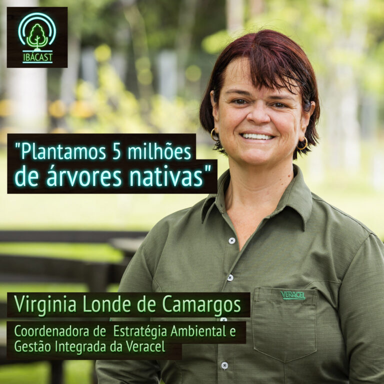 Episódio 8 – Plantamos 5 milhões de árvores nativas