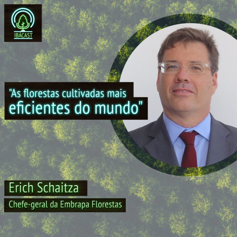 Episódio 9 – As florestas cultivadas mais eficientes do mundo