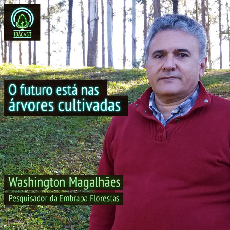 Episódio 14 – O futuro está nas árvores cultivadas