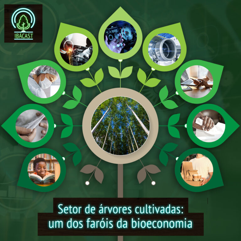 Episódio 17 – Setor de árvores cultivadas: um dos faróis da bioeconomia