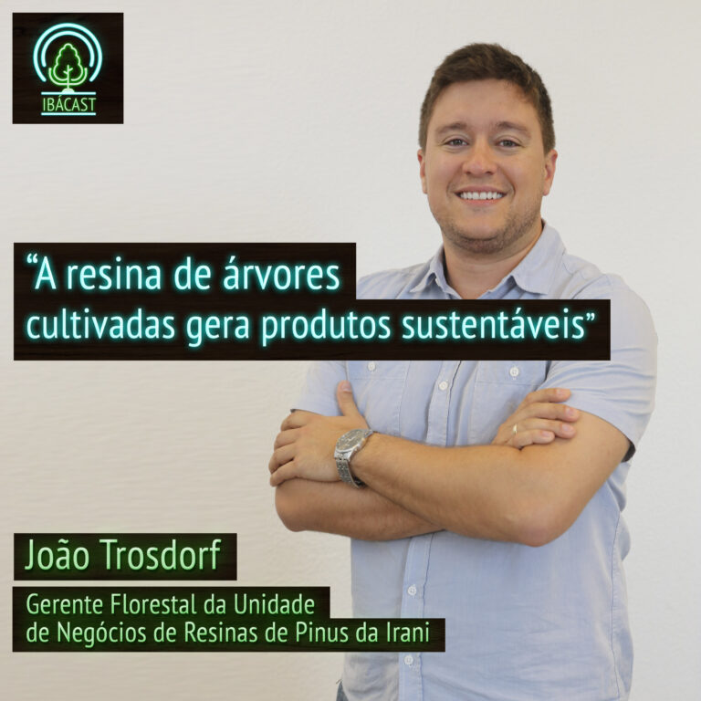 Episódio 24 – A resina de árvores cultivadas gera produtos sustentáveis