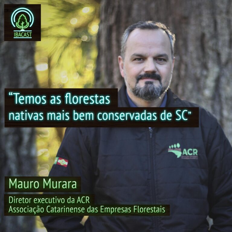 Episódio 25 – Temos as florestas nativas mais bem conservadas de SC
