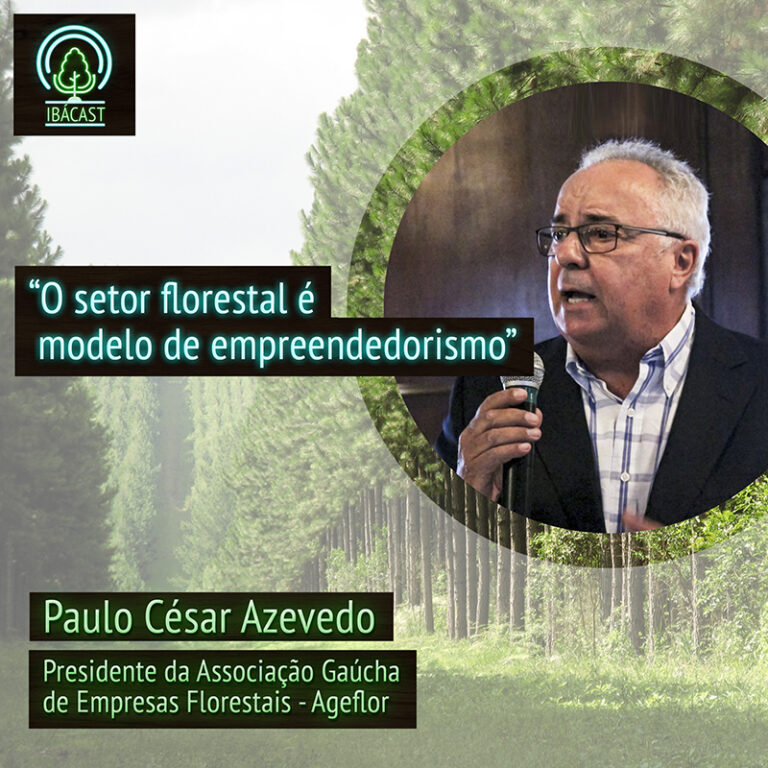 Episódio 28 – O setor florestal é modelo de empreendedorismo