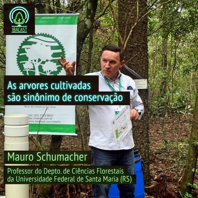 Episódio 29 – As arvores cultivadas são sinônimo de conservação