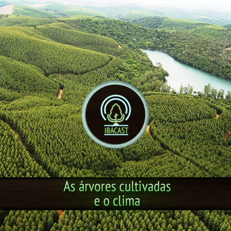 Episódio 33 – As árvores cultivadas e o clima