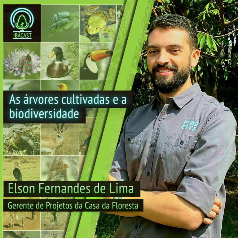 Episódio 35 – As árvores cultivadas e a biodiversidade