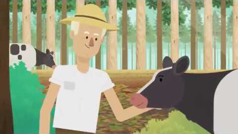 Dia Mundial do Meio Ambiente: vídeo reforça a importância da árvore plantada