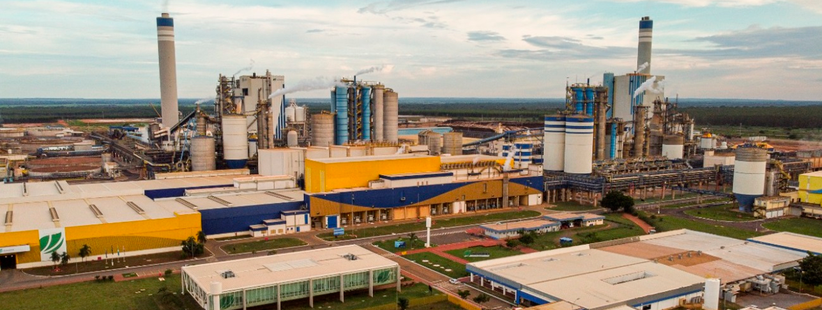 Suzano completa 102 anos, uma história de trabalho, sucesso e humildade que entrelaça com Três Lagoas