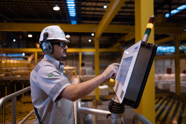 A nova onda de investimentos do setor florestal