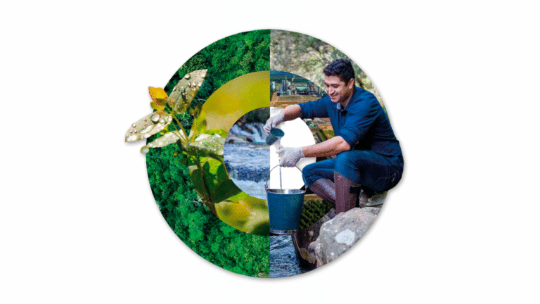 Dia da Água: como o setor de árvores cultivadas cuida do nosso futuro