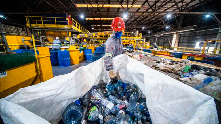 A nova vida do papel: a indústria está preparada para substituir o plástico?
