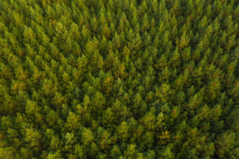 Smurfit Westrock transforma logística reversa em valor para clientes e sustentabilidade no Brasil
