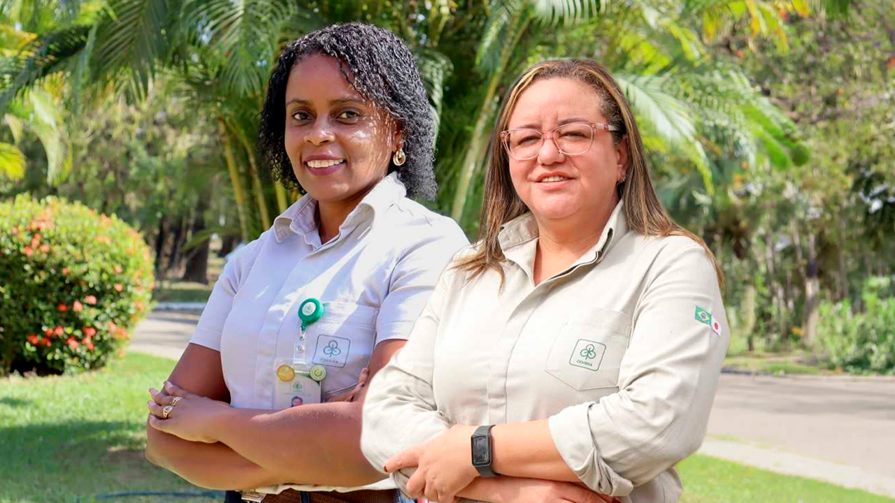 Uma indústria feita de pessoas: conheça histórias reais de trajetórias profissionais no setor florestal - Item 2