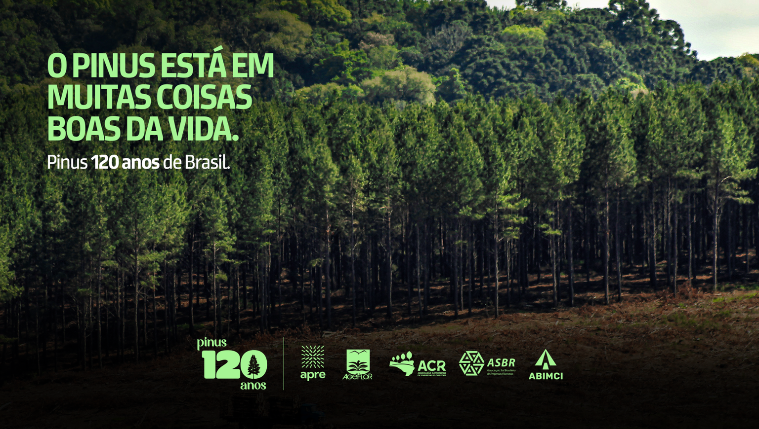 120 anos no Brasil, campanha institucional mostra importância econômica, social e ambiental do Pinus, diz Apre Florestas